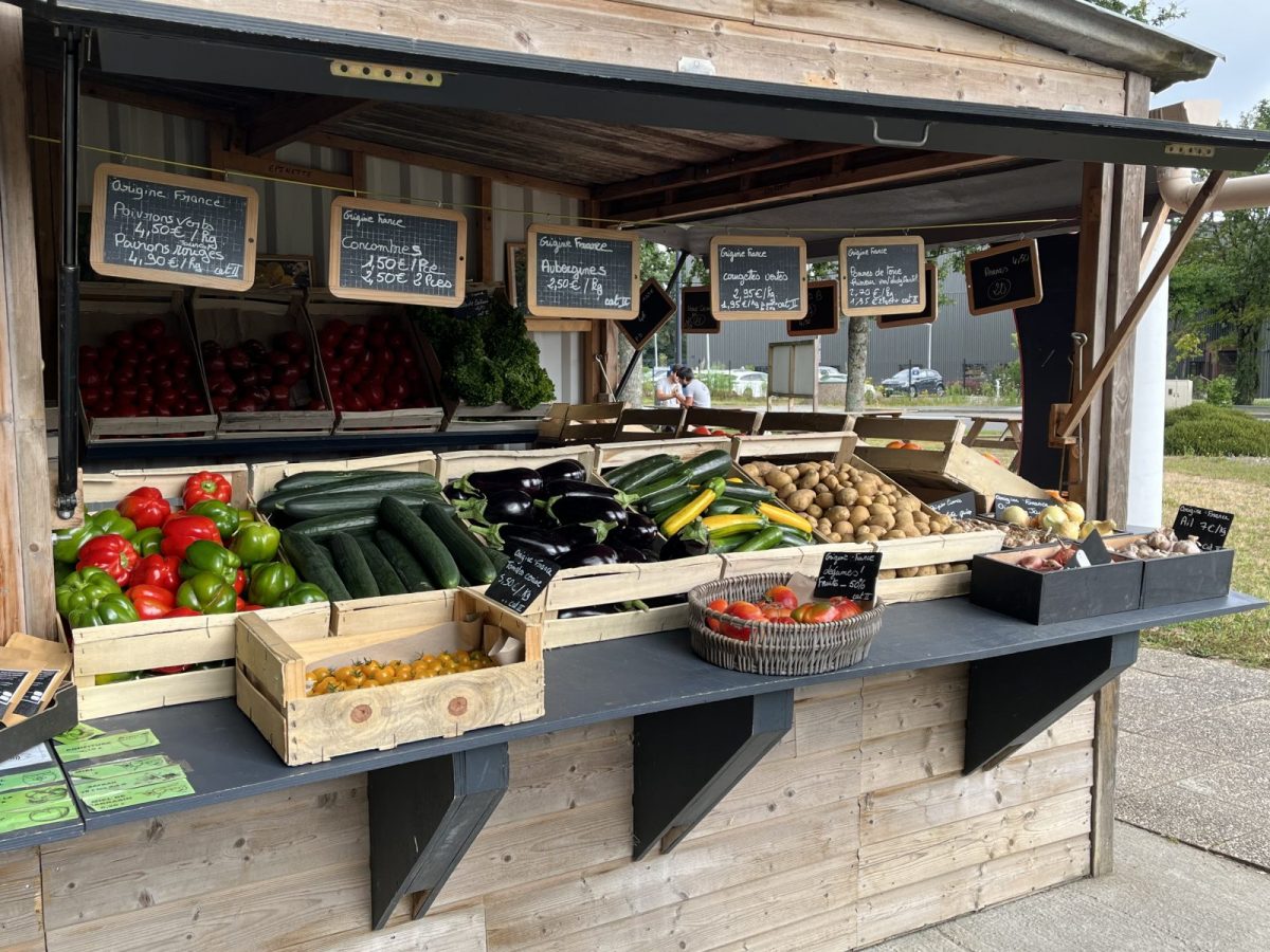 Boule d’or – St-Michel-en-lherm – Cabane