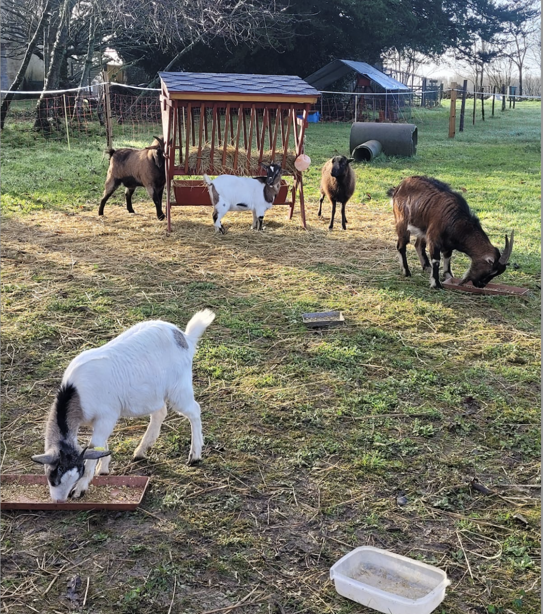 Ferme pédagogique « Au coeur de chez vous »