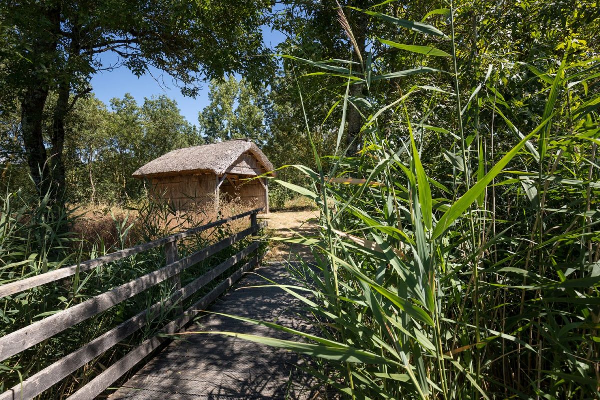Réservebiologique-Nalliers-Mouzeuil-photo loge