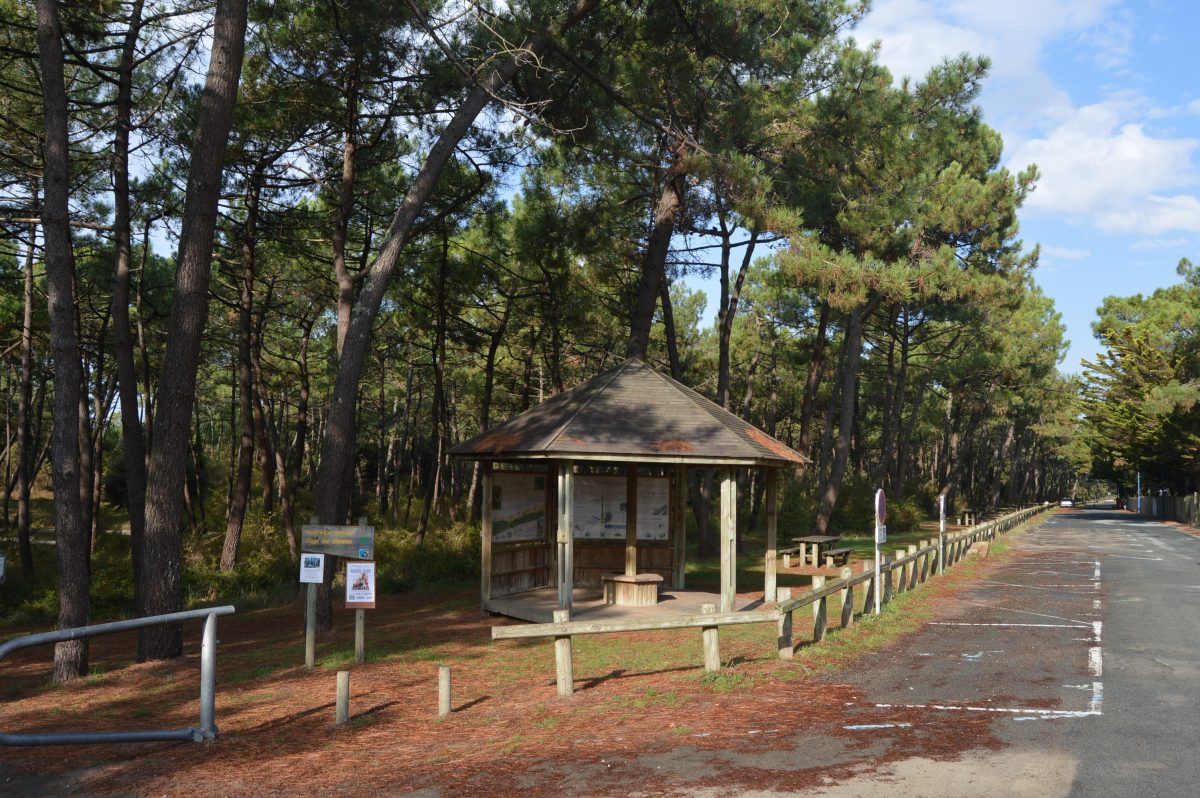 AIRE DE PIQUE-NIQUE – Forêt-L’AIGUILLON-LA-PRESQU’ILE – la Faute-sur-Mer