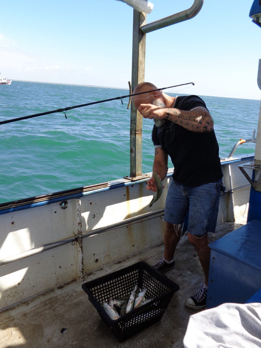 BATEAU DE PÊCHE « TOMZOE »-L’AIGUILLON-LA-PRESQU’ILE-canne à pêche