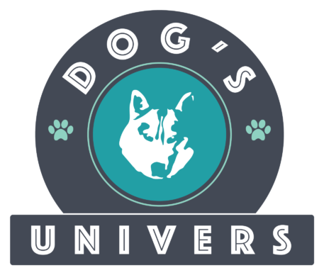 Pension canine, Dog’s Univers
