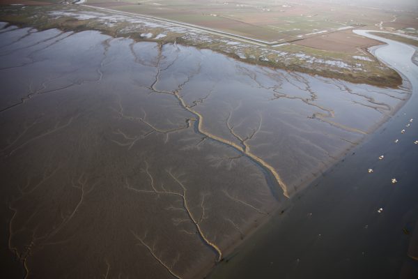 La Réserve naturelle nationale de la Baie de l’Aiguillon