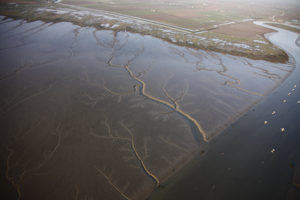 RÉSERVE NATURELLE NATIONALE DE LA BAIE DE L’AIGUILLON