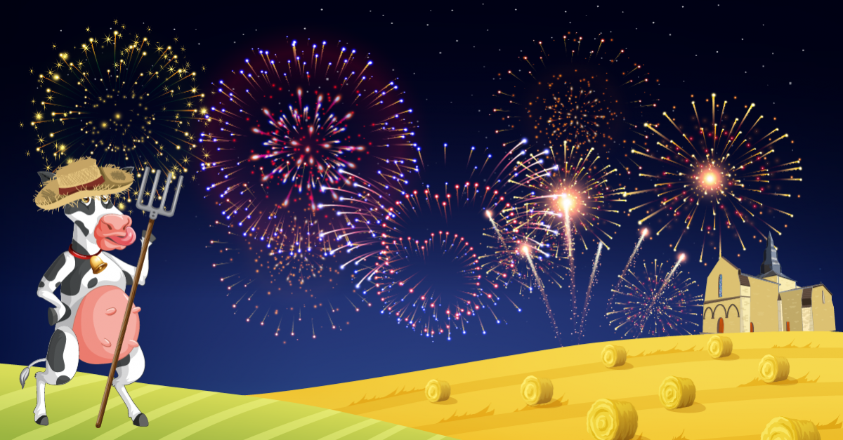 Evenement-feu artifice