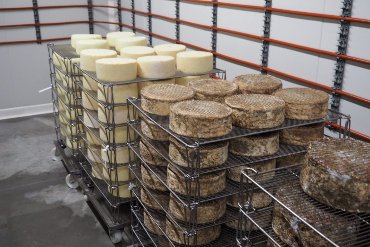 Ferme-Nermoux-Nalliers-fromagerie-fromage–40-