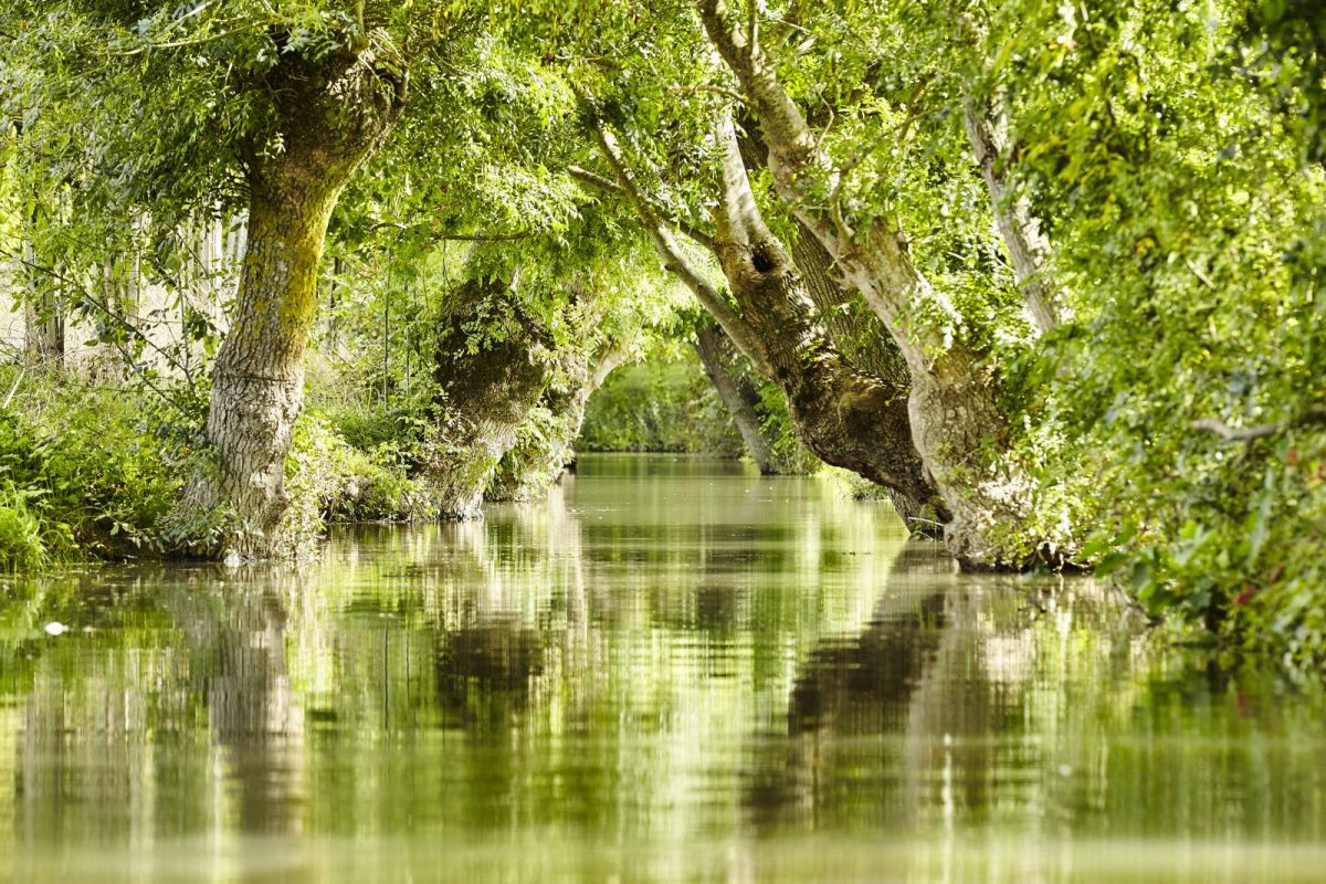 Marais poitevin – Marais mouillés