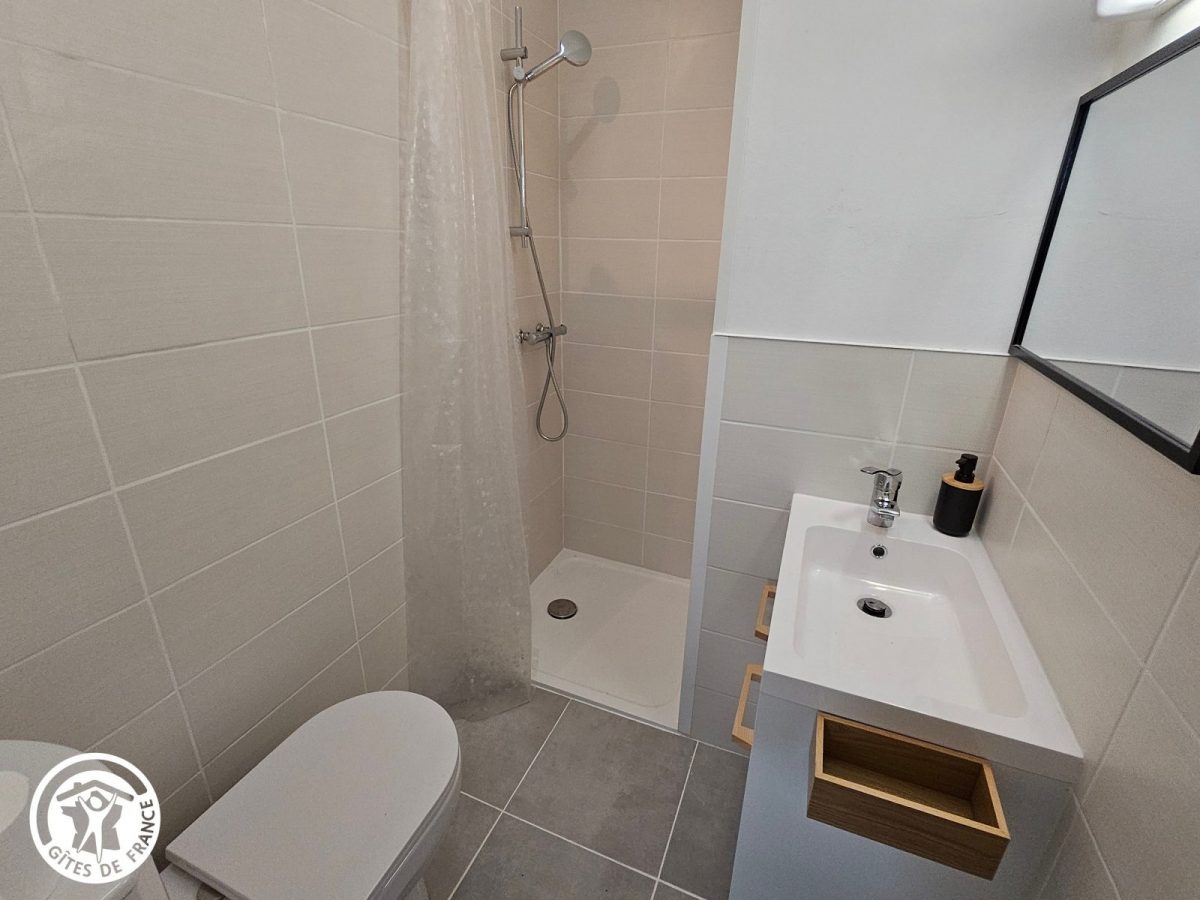 Gîte agréé Gîtes de France dans le PNR Marais Poitevin : Salle d’eau/WC_8