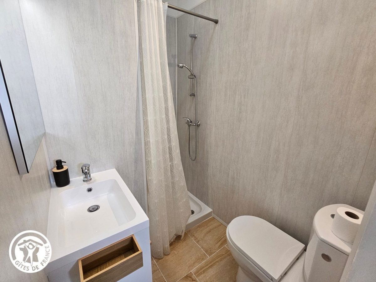 Gîte agréé Gîtes de France dans le PNR Marais Poitevin : Salle d’eau/WC_9