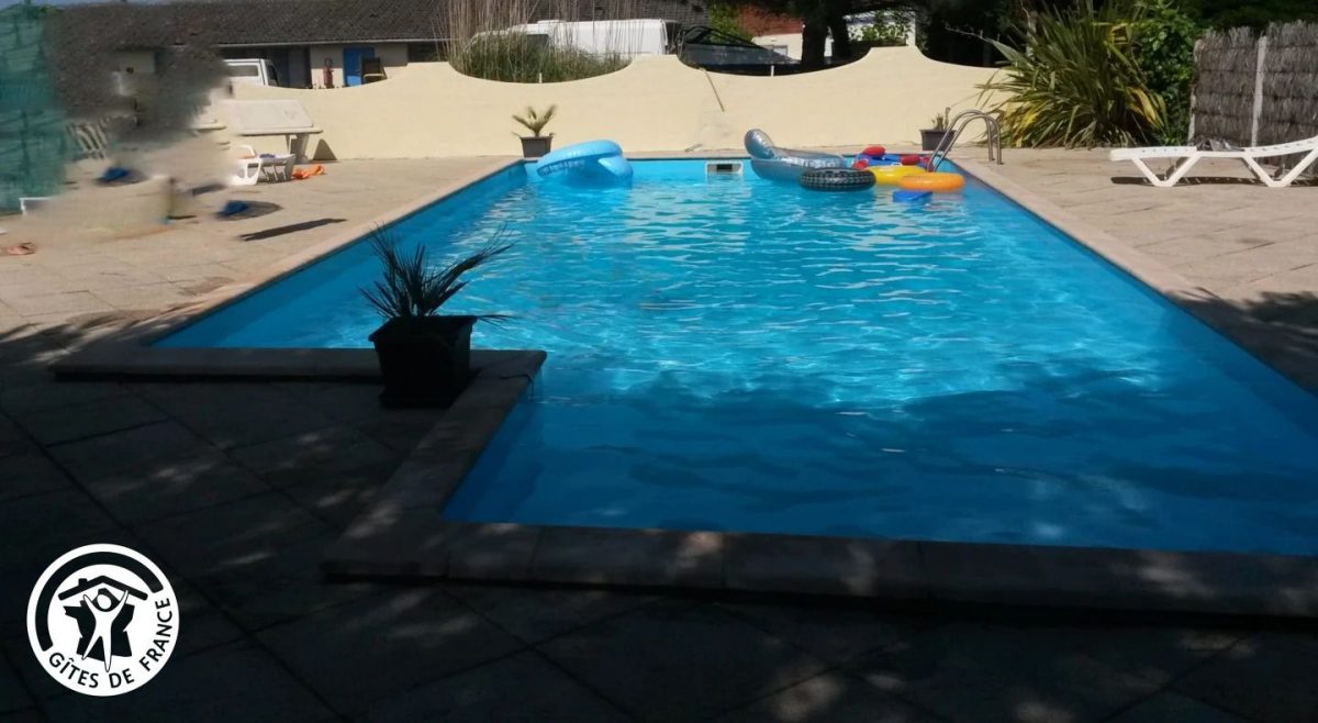 Gîte agréé Gîtes de France dans le PNR Marais Poitevin : Piscine privative (15x5m)_10