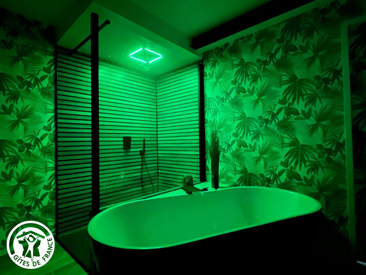 Salle de bain privative à la chambre 1 (douche et baignoire) avec luminothérapie_16
