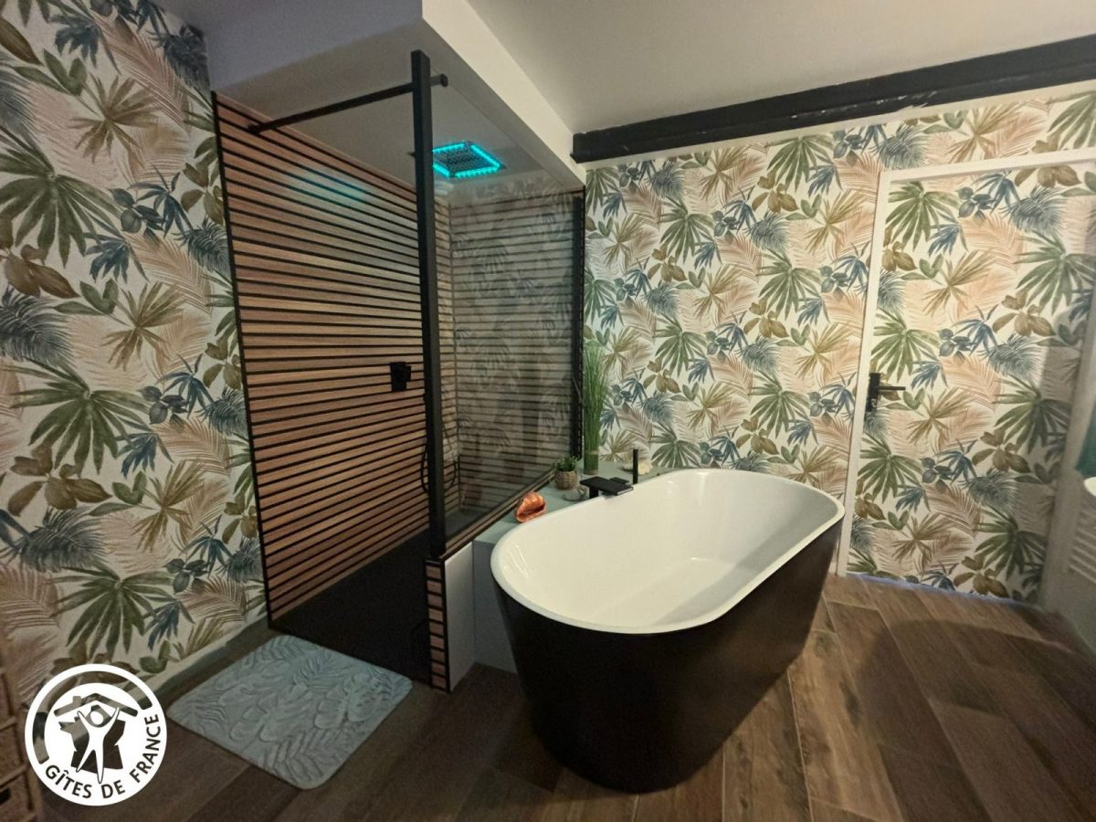 Salle de bain privative à la chambre 1 (douche et baignoire) avec luminothérapie_15