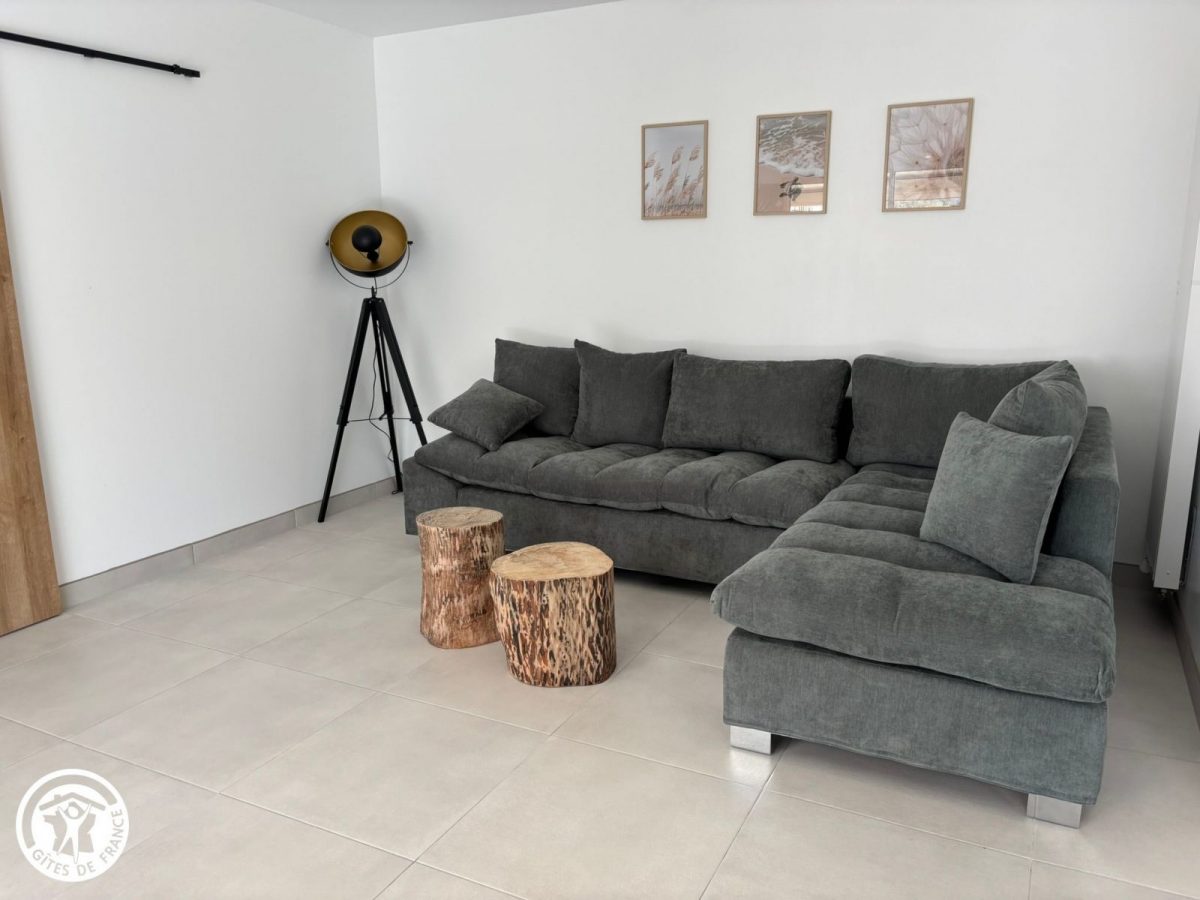 Gîte agréé Gîtes de France dans le PNR Marais Poitevin : Salon_2