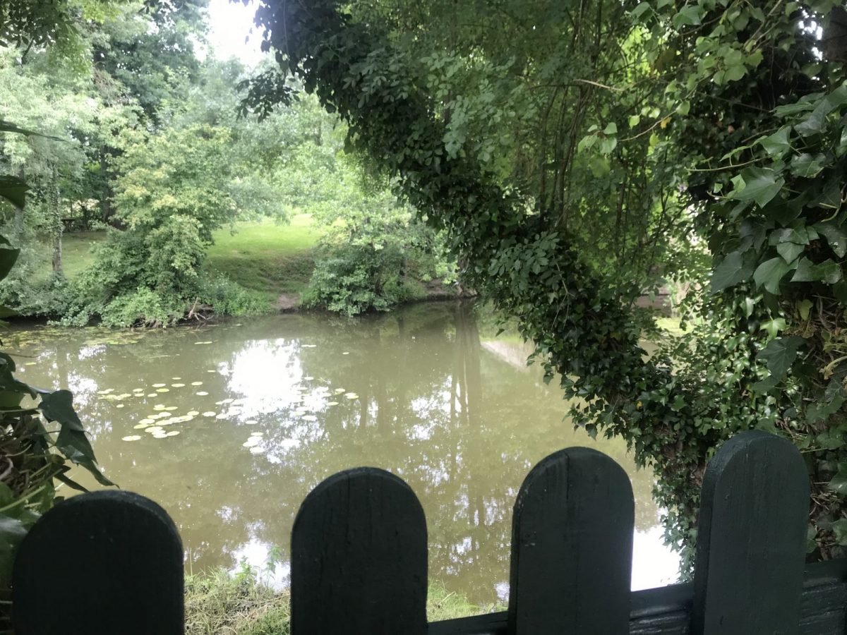 Gîte du moulin_Moutiers sur le Lay_Rivière