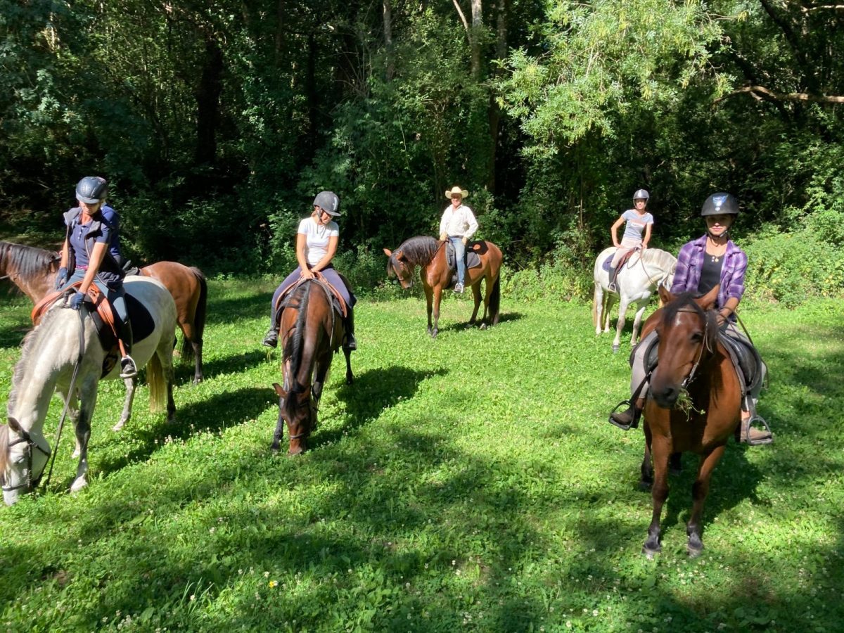 CENTRE ÉQUESTRE, LE HARAS DU PLESSIS-ROSNAY-promenade