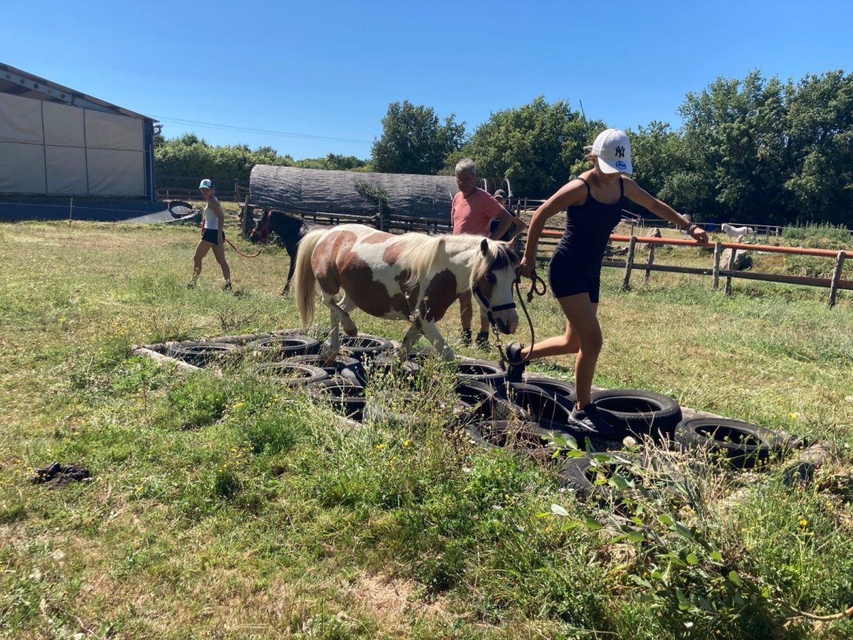 CENTRE ÉQUESTRE, LE HARAS DU PLESSIS-ROSNAY-exercices