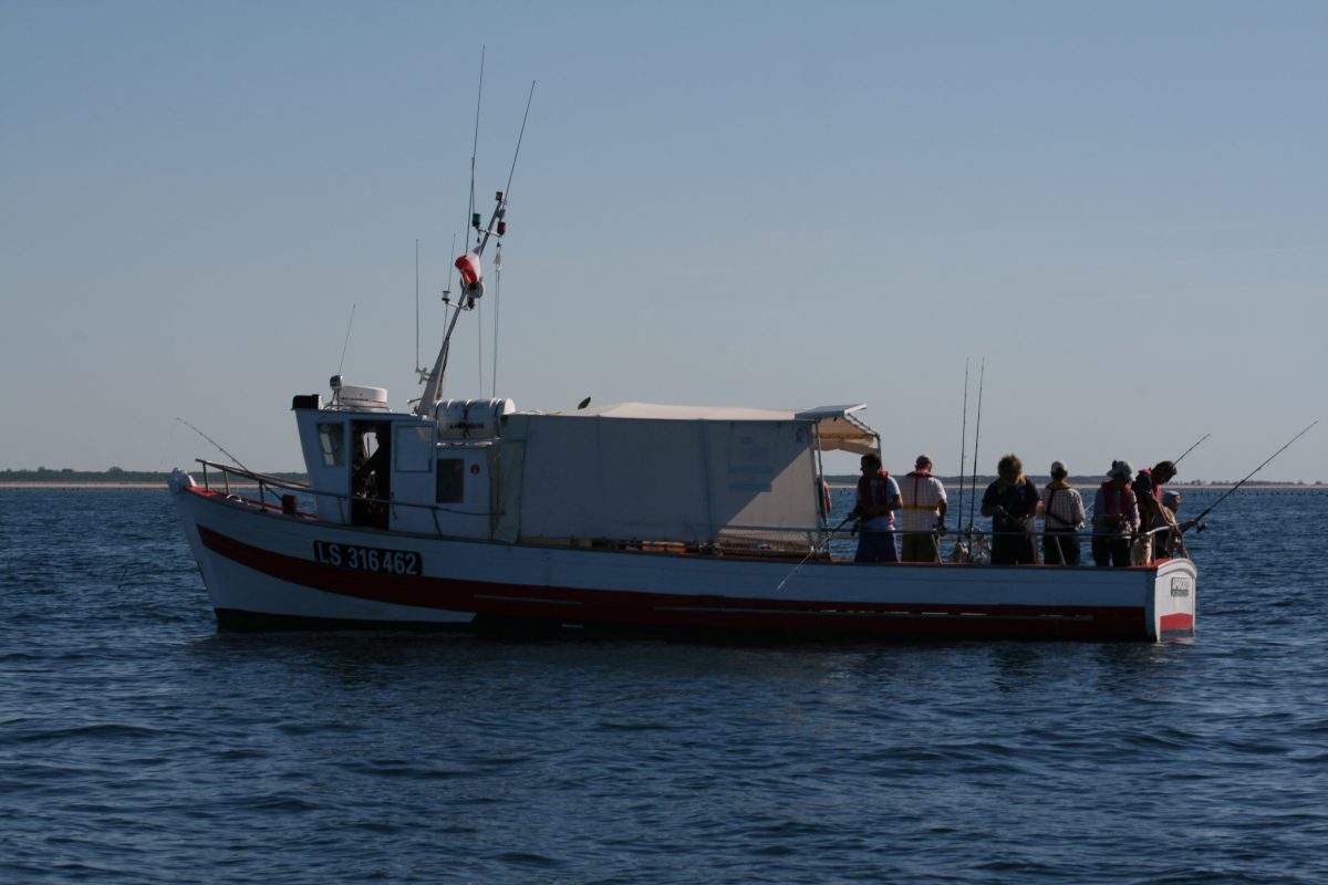 BATEAU DE PÊCHE « L’APHRODITE-L’AIGUILLON-LA-PRESQU’ILE-découverte pêche