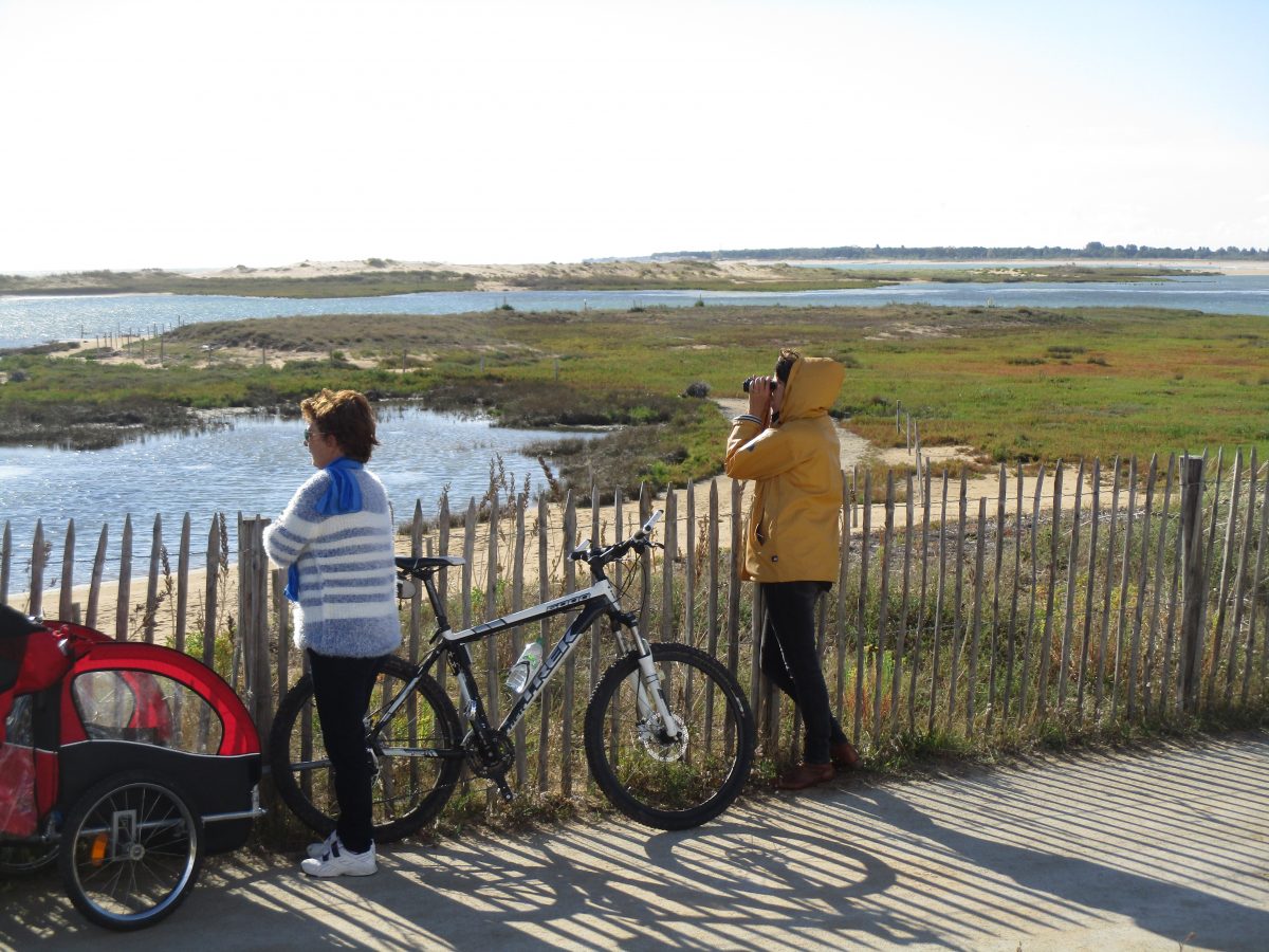 Sortie nature-LPO85-L’Aiguillon-la-Presqu’île-Photo cyclistes