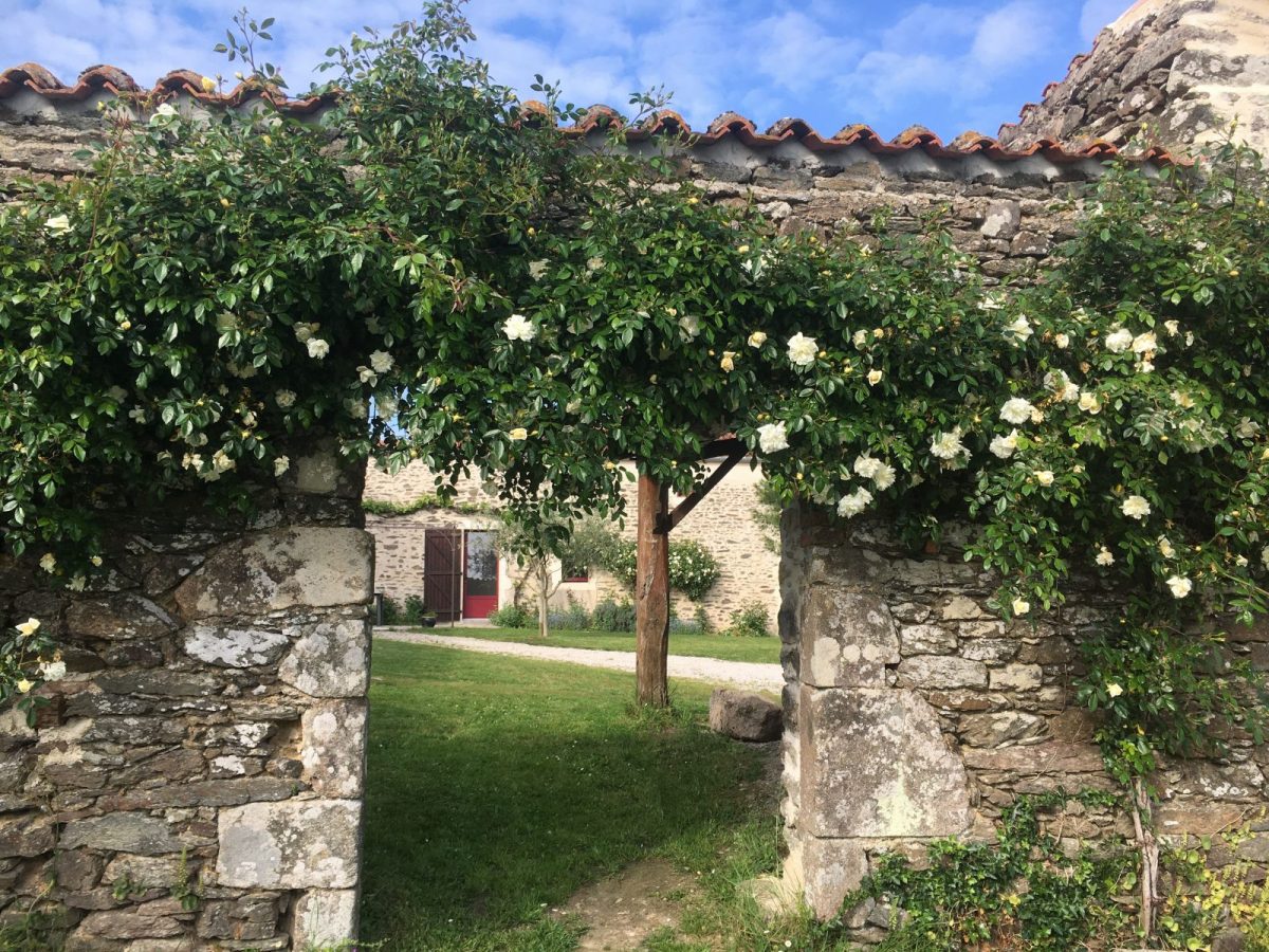 GITE LA PESCHERIE_Château-Guibert_Rosier