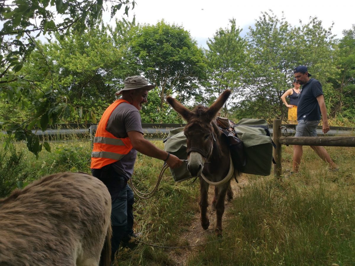 Pieds d’AventureS Chateau-Guibert balade âne baté et bivouac