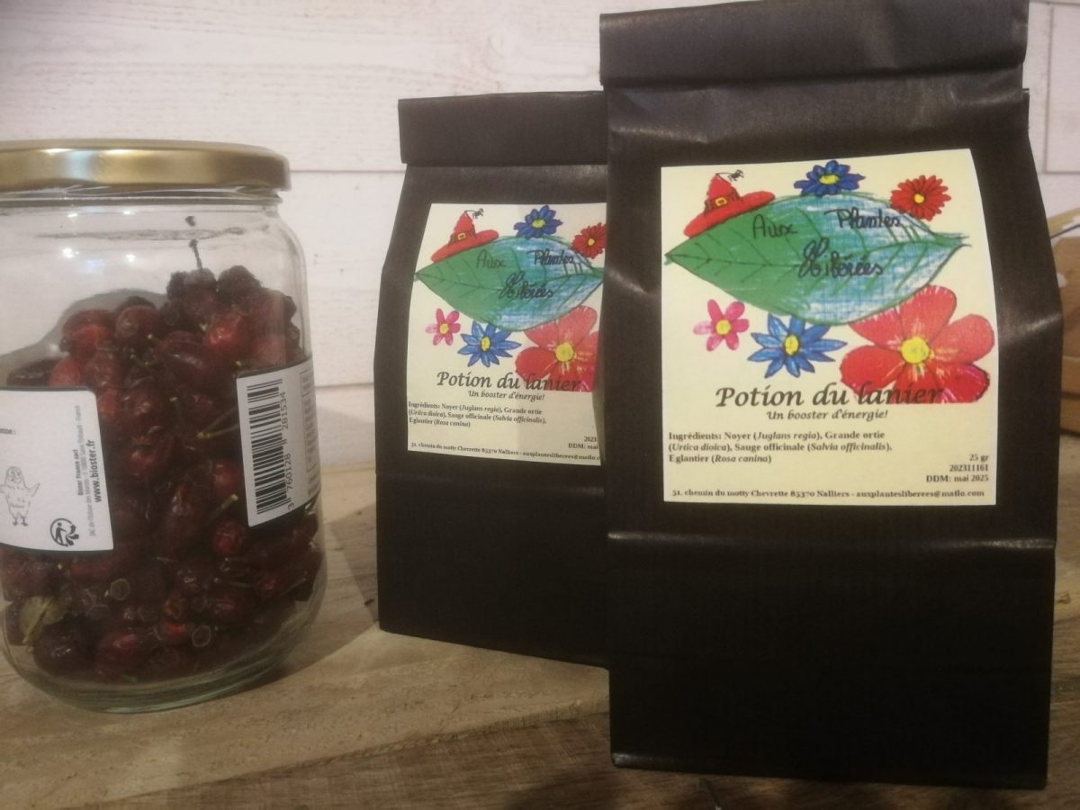 Potion du lanier