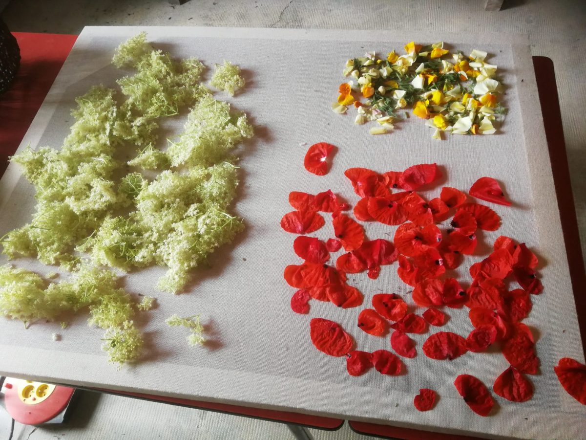 Séchage de fleurs