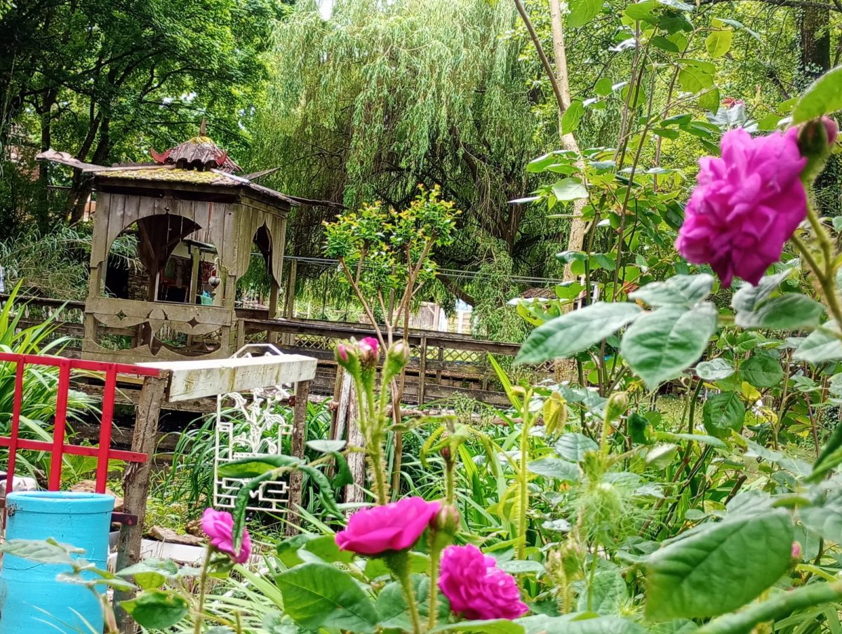balade dans les jardins