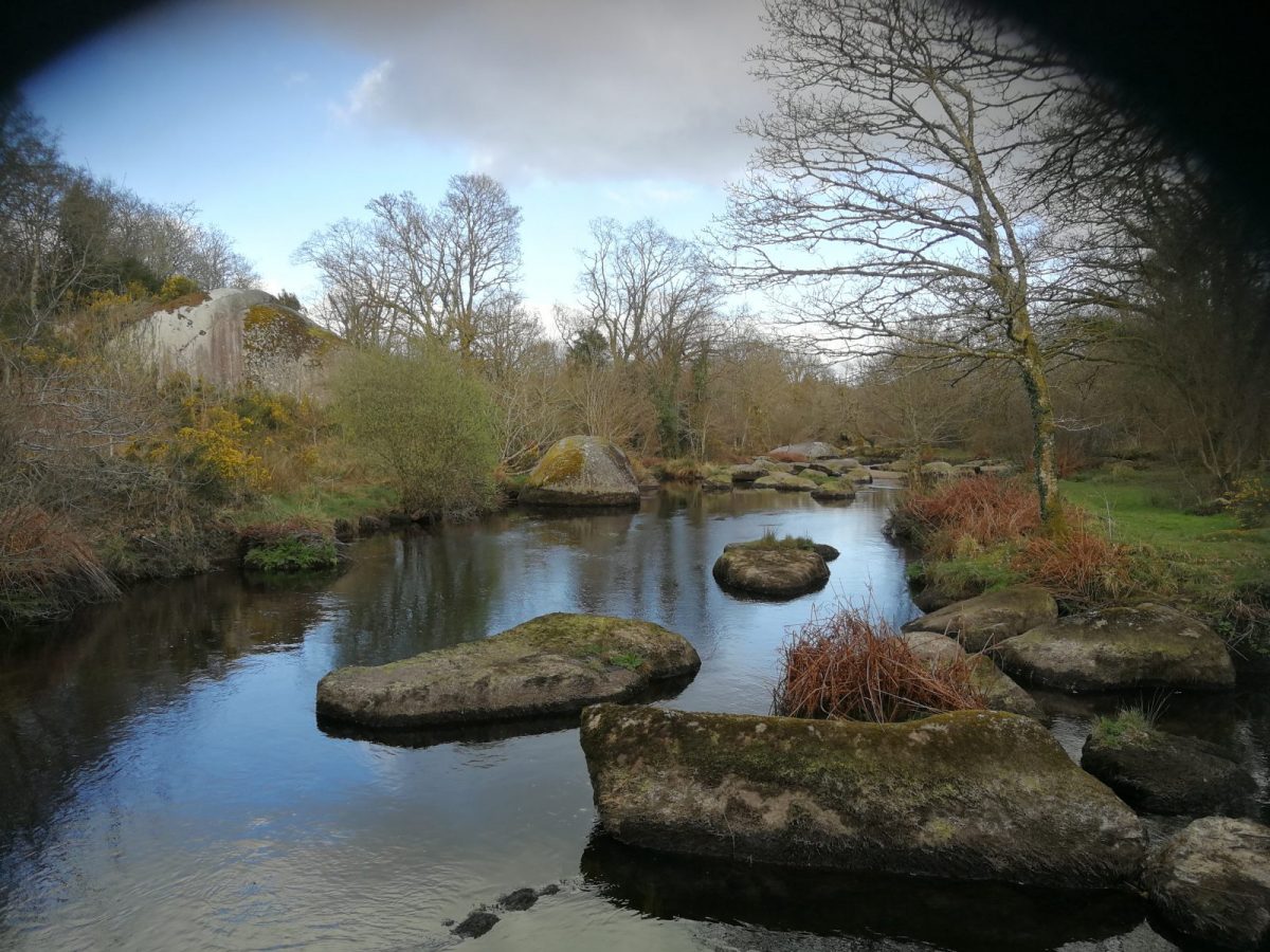 L&rsquo;eau, élément de la peau et du locomoteur