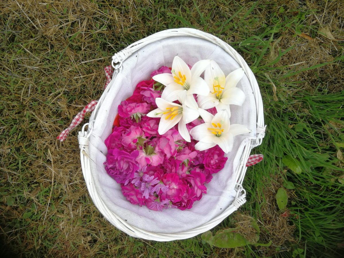 récolte de roses et de lys