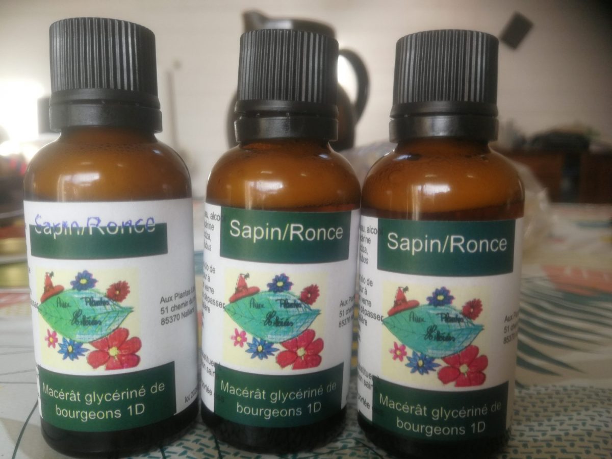 Aux-plantes-liberees-nalliers-gemmothérapie