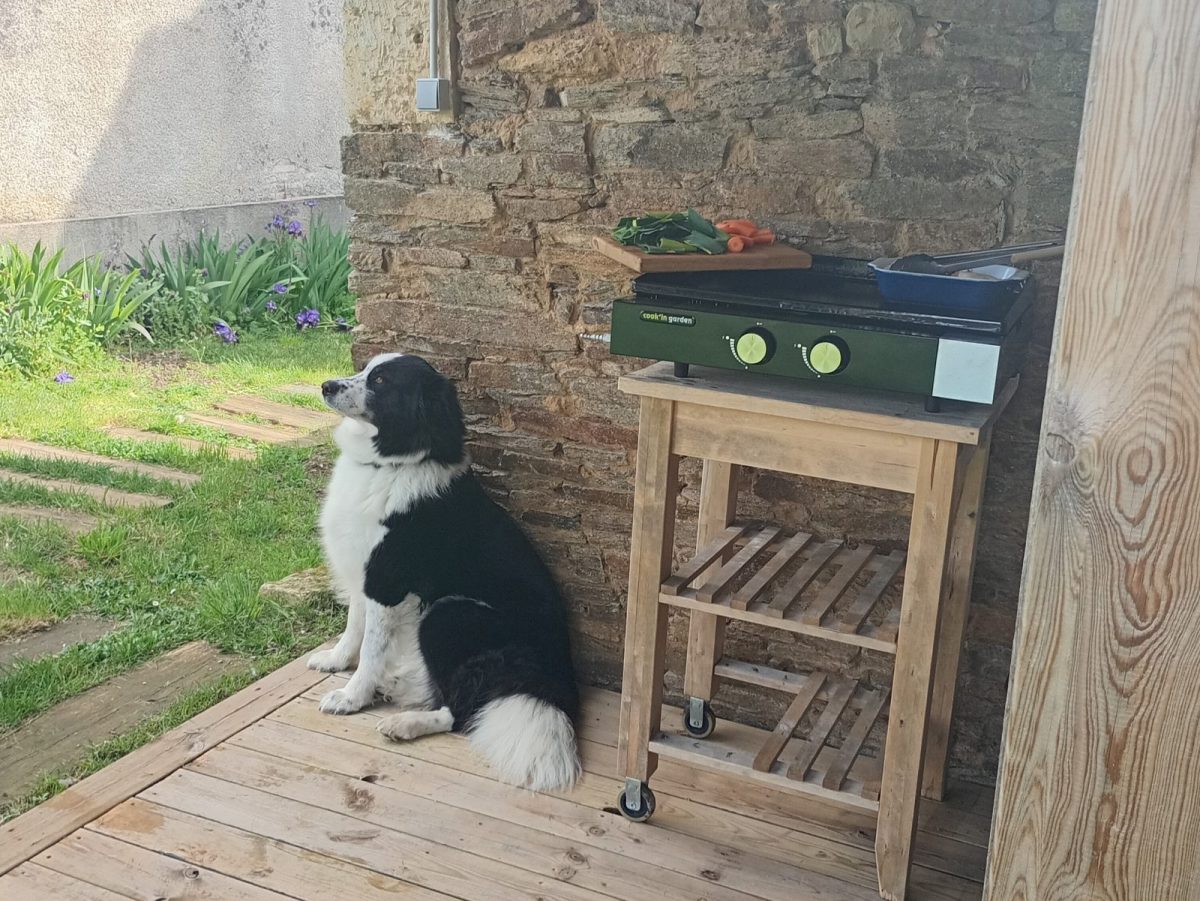 Meublé Le Clos des Hirondelles – La Couture 85320 – l&rsquo;espace Plancha