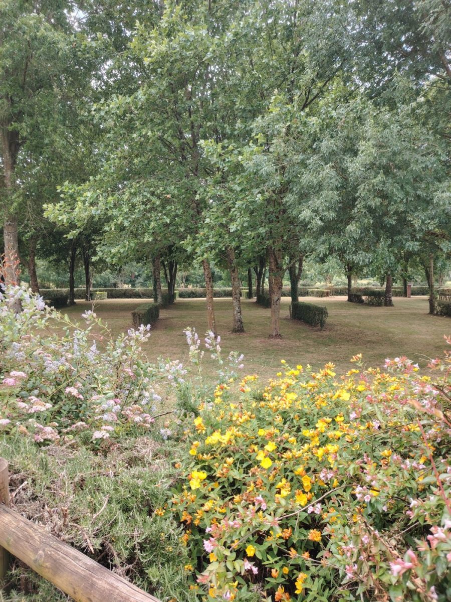 Camping municipal La Prée_Mareuil sur Lay_Emplacements ombragés