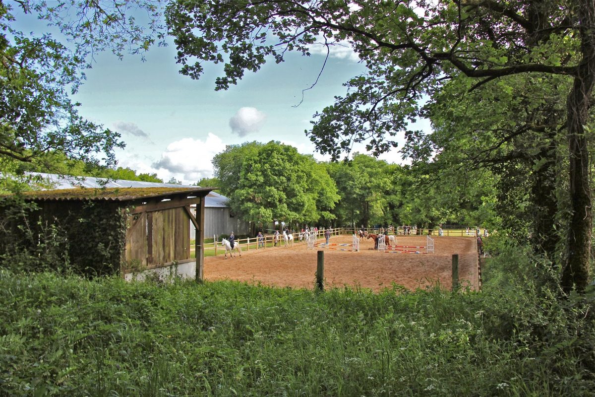 CENTRE EQUESTRE SAEL « LA FORET »-SAINTE-GEMME-LA-PLAINE-carrière