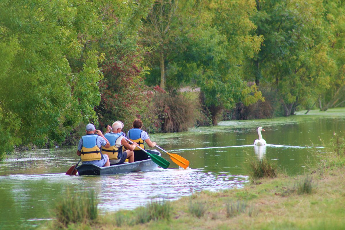 marais_poitevin_longeville