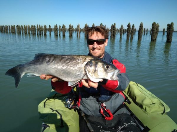Sortie pêche en mer du bar en float tube
