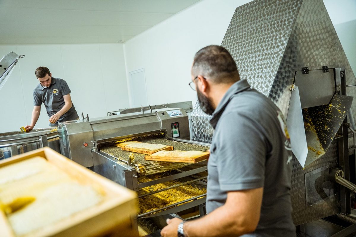 Le Rucher de Bellevue©D.Herbreteau-05664