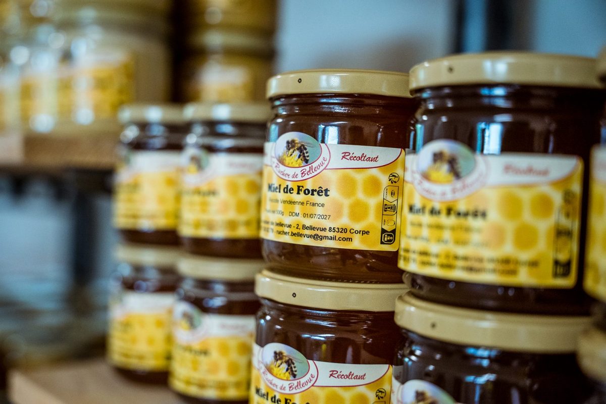 Le Rucher de Bellevue©D.Herbreteau-05766