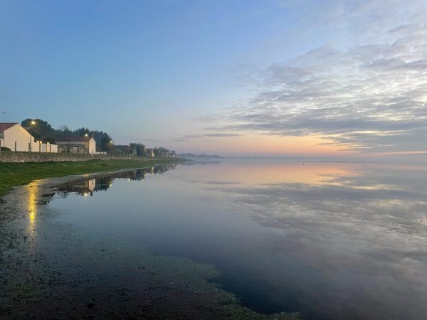 Sortie nature, A la découverte du Marais Communal de Lairoux