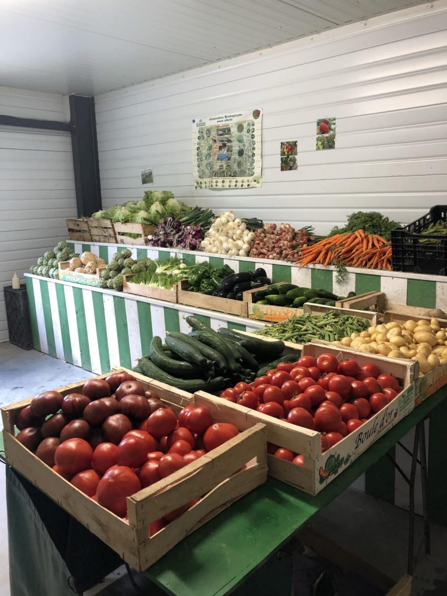 Légumes du marais-Chaille-les-marais-légume divers