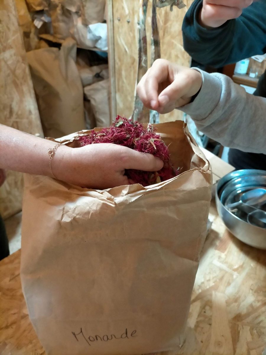 Les fées des herbes