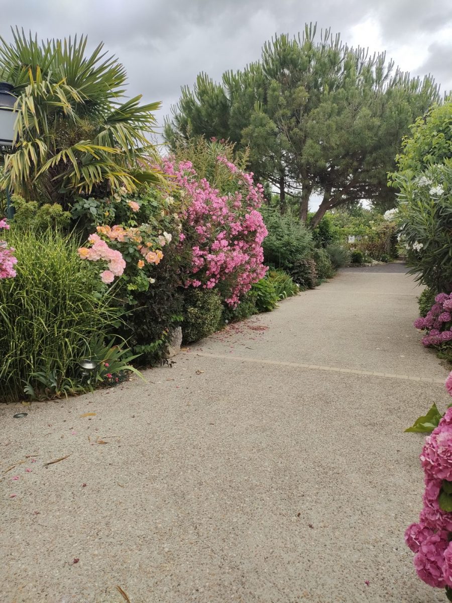 Meublé Fleural-Luçon_Jardin (5)