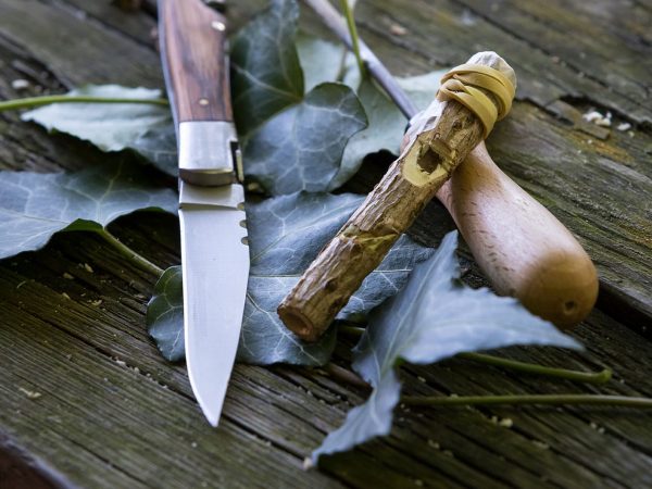Sortie nature, jeux de nature