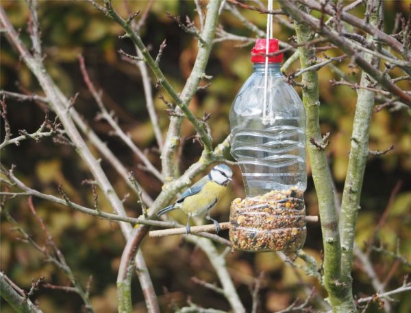 Atelier Parent-Enfant, Nourrir les oiseaux en hiver