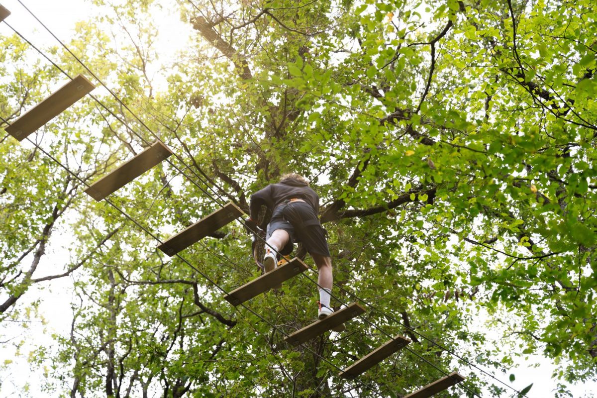 o-fun-park-accrobranche-loisirs-vendee-saison-2024