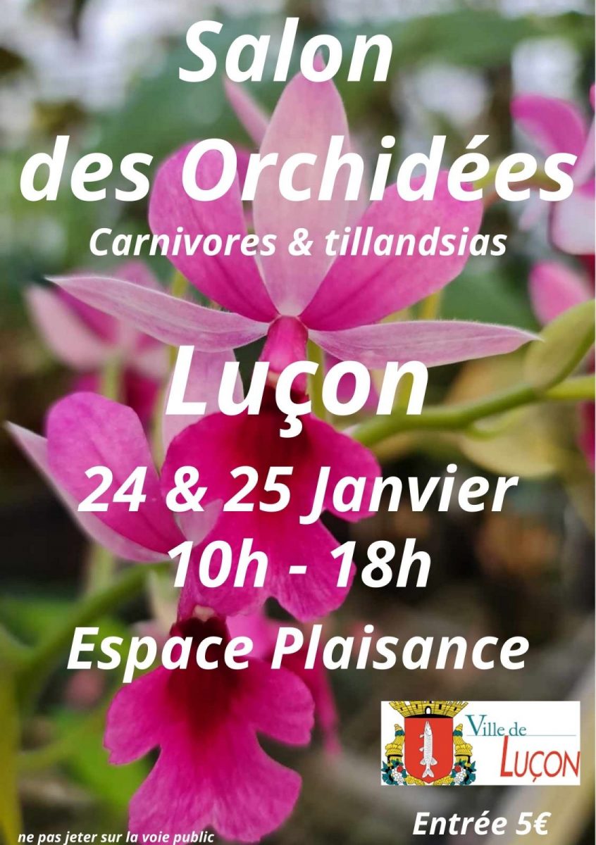 salon des orchidées