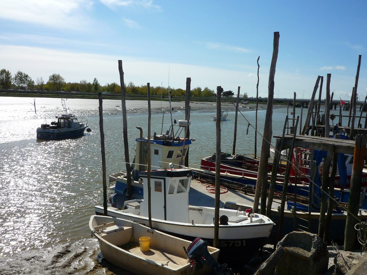 MEUBLÉ L’ODYSSÉE – L’AIGUILLON-SUR-MER