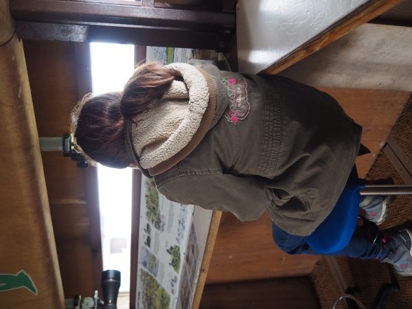 Animation famille, Deviens ornithologue