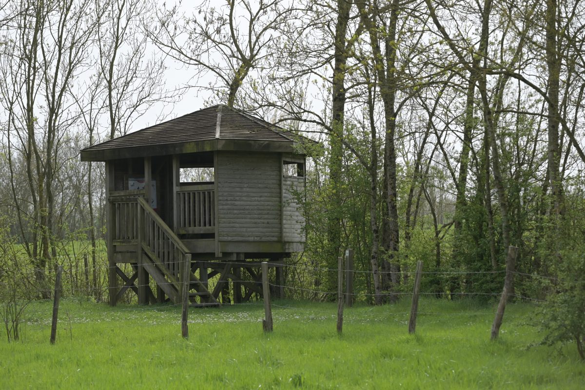 Réservebiologique-Nalliers-Mouzeuil-Photo observatoire