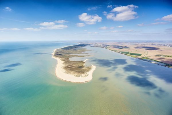 Sortie nature, découverte de la Pointe d’Arçay