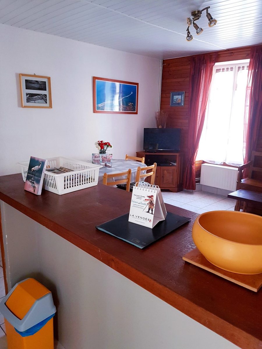 Meublé la Huppe Cendrée_Luçon_Vue salon